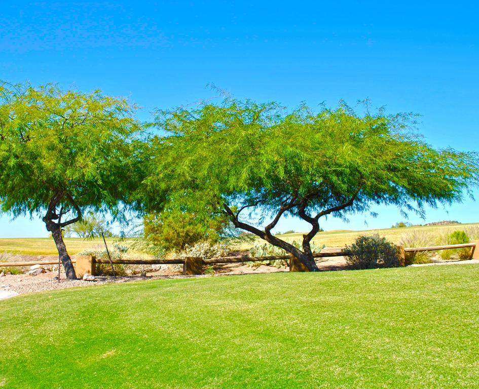 Gold Canyon Golf Resort Номер фото
